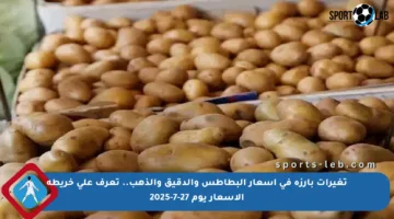 تغيرات بارزة في أسعار البطاطس والدقيق والذهب.. تعرف على خريطة الأسعار يوم 27-7-2025